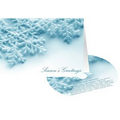 Snowflakes Season's Greetings Holiday Card with Matching CD